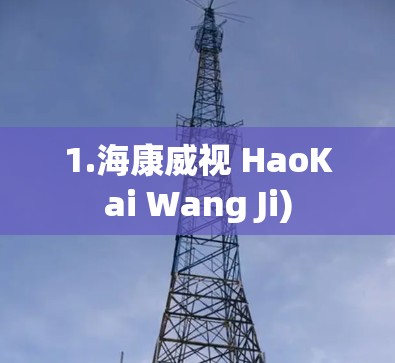 1.海康威视 HaoKai Wang Ji)