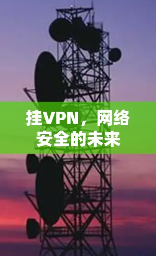 挂VPN,网络安全的未来 挂VPN,网络安全的未来