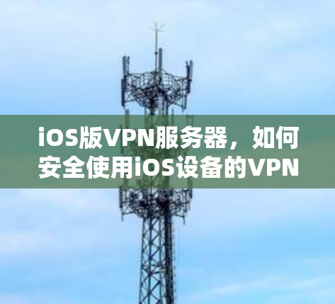 iOS版VPN服务器，如何安全使用iOS设备的VPN
