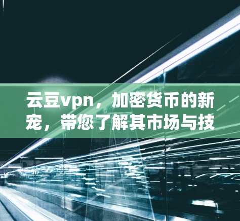 云豆vpn，加密货币的新宠，带您了解其市场与技术