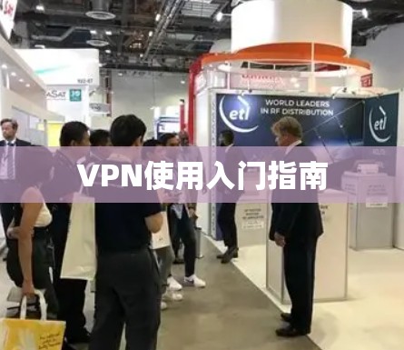 VPN使用入门指南