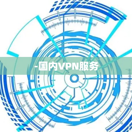 -国内VPN服务 -国内VPN服务