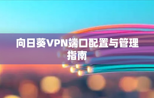 向日葵VPN端口配置与管理指南