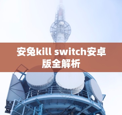 安兔kill switch安卓版全解析