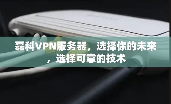 磊科VPN服务器,选择你的未来,选择可靠的技术 磊科VPN服务器,选择你的未来,选择可靠的技术