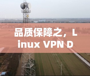 品质保障之，Linux VPN DNS 环境建设