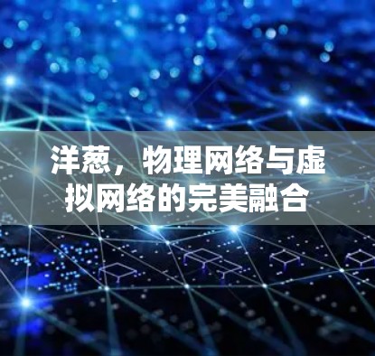 洋葱,物理网络与虚拟网络的完美融合 洋葱,物理网络与虚拟网络的完美融合