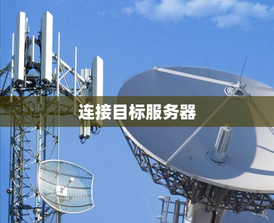 连接目标服务器