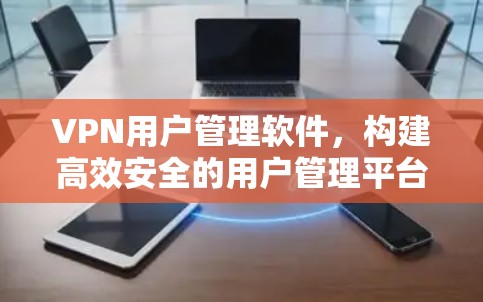 VPN用户管理软件，构建高效安全的用户管理平台