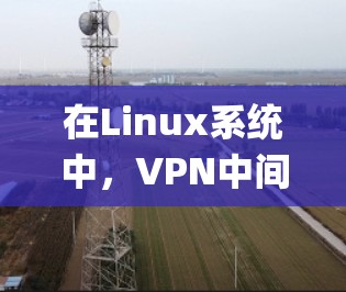 在Linux系统中，VPN中间服务器（如Apache、Nginx等）是实现视频会议、文件传输或数据流的重要工具。以下是使用这些服务器配置VPN的详细步骤和方法