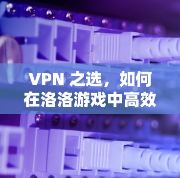 VPN 之选，如何在洛洛游戏中高效使用