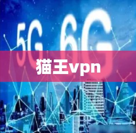 猫王vpn