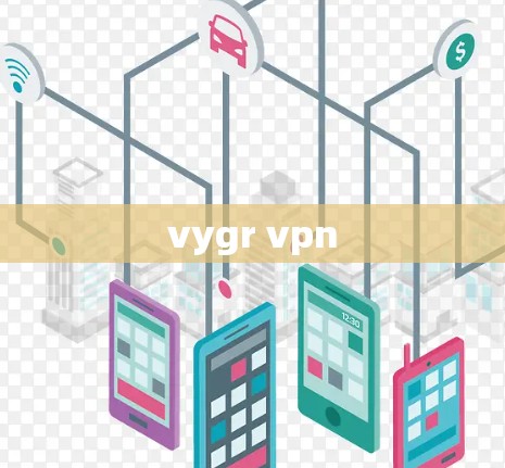 vygr vpn