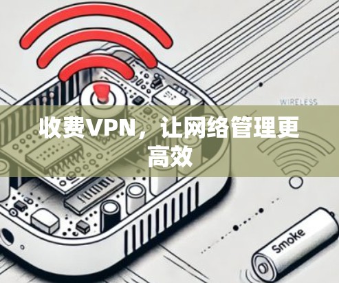 收费VPN，让网络管理更高效