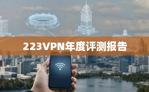 223VPN年度评测报告