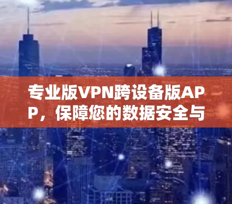 专业版VPN跨设备版APP，保障您的数据安全与隐私
