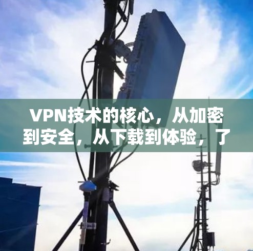 VPN技术的核心，从加密到安全，从下载到体验，了解 VPN 开发资源的全貌