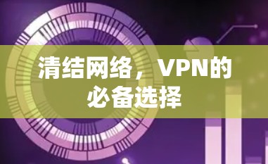 清结网络，VPN的必备选择
