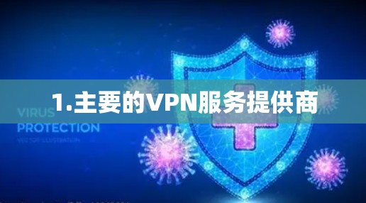 1.主要的VPN服务提供商