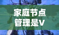 家庭节点管理是VPN家庭节点的重要组成部分，涉及IP地址、服务器配置、安全设置和工具使用等多个方面。以下是详细的步骤指南