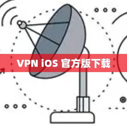 VPN iOS 官方版下载