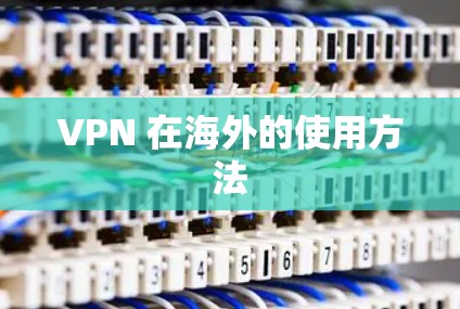 VPN 在海外的使用方法