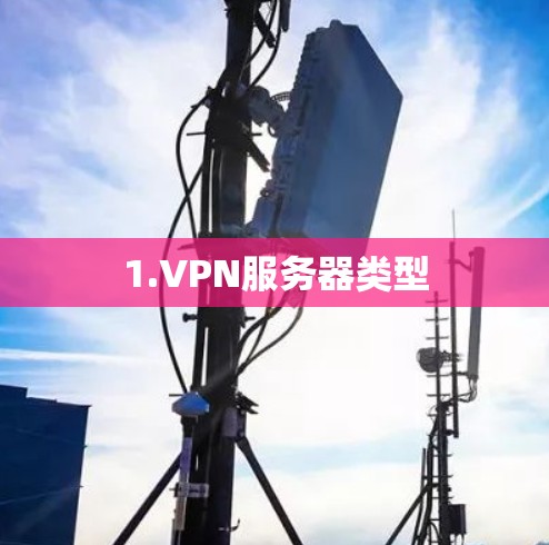1.VPN服务器类型