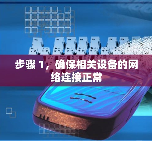 步骤 1，确保相关设备的网络连接正常