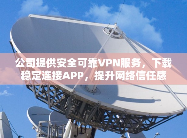 公司提供安全可靠VPN服务，下载稳定连接APP，提升网络信任感