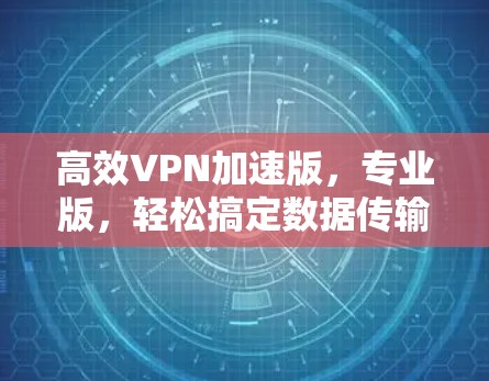 高效VPN加速版，专业版，轻松搞定数据传输