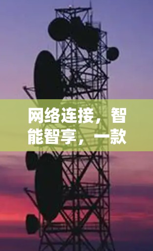 网络连接，智能智享，一款全新的VPN系统