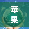 苹果版VPN，保护网络，满足需求