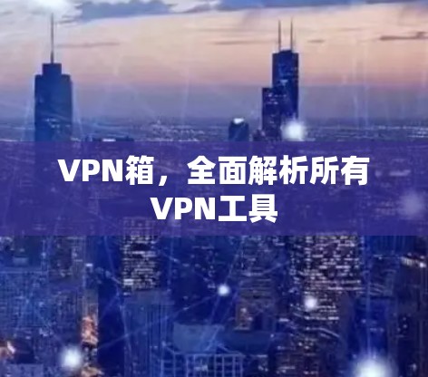 VPN箱，全面解析所有VPN工具