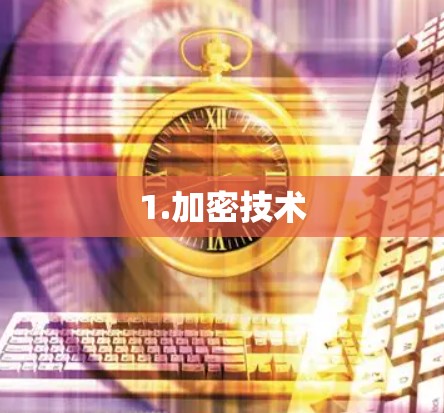 1.加密技术