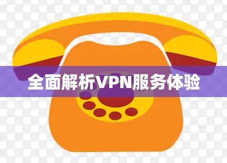 全面解析VPN服务体验