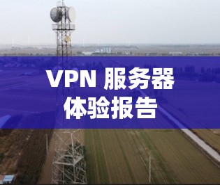 VPN 服务器体验报告