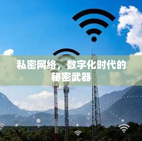私密网络，数字化时代的秘密武器