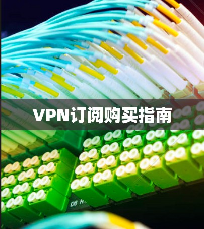 VPN订阅购买指南