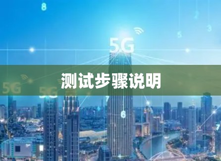 测试步骤说明