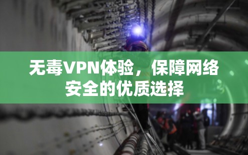 无毒VPN体验，保障网络安全的优质选择