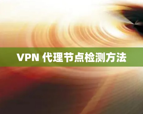 VPN 代理节点检测方法