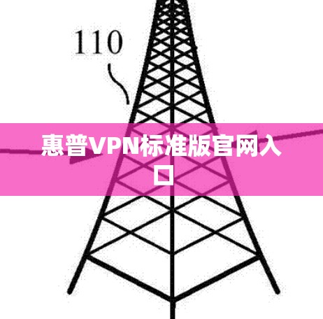 惠普VPN标准版官网入口