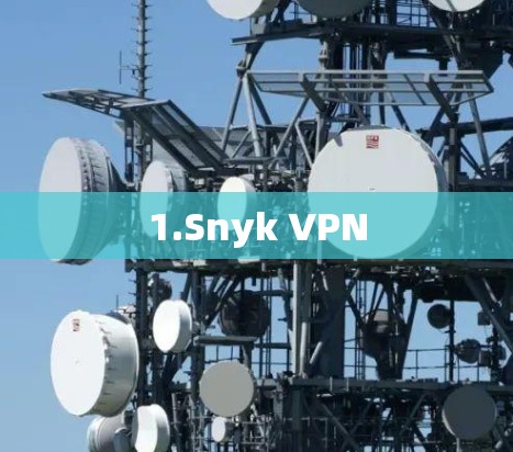1.Snyk VPN