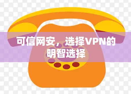 可信网安，选择VPN的明智选择