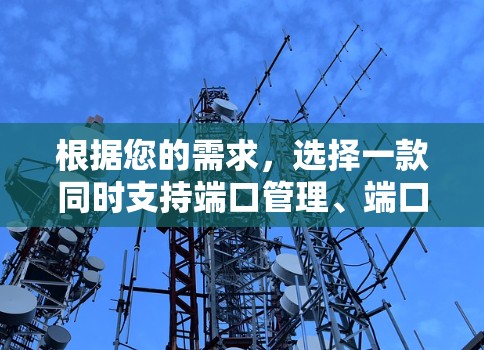 根据您的需求，选择一款同时支持端口管理、端口代号管理、端口IP地址配置和防火墙配置的VPN软件。以下是推荐的选择