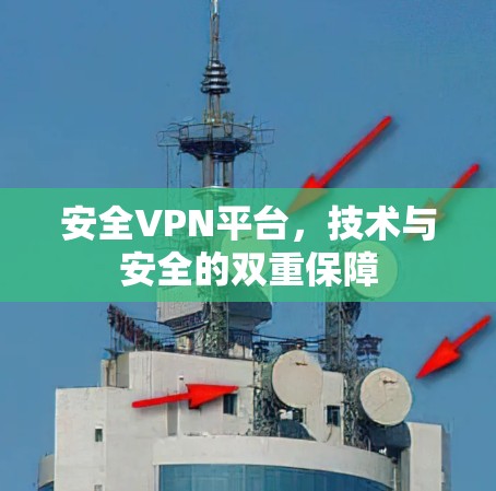 安全VPN平台，技术与安全的双重保障