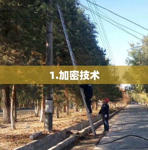 1.加密技术