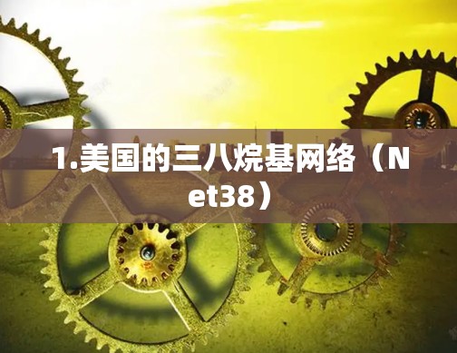 1.美国的三八烷基网络(Net38) 1.美国的三八烷基网络(Net38)