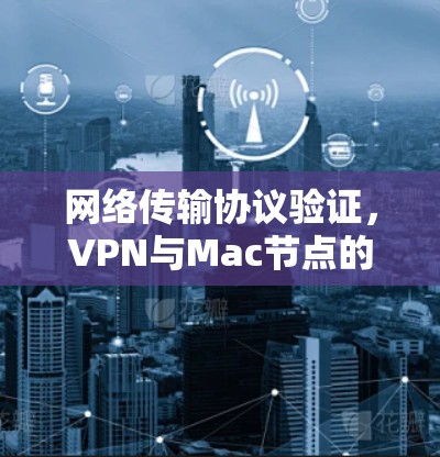 网络传输协议验证，VPN与Mac节点的高效通信测试
