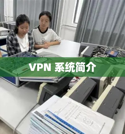 VPN 系统简介 VPN 系统简介